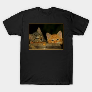 Howard Moon's Calming Kittens T-Shirt